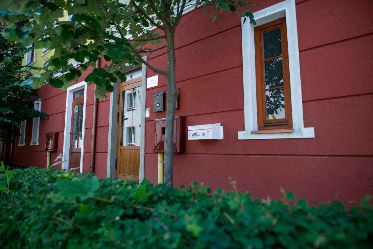 Apartamenty Centrum Biskupiec Biskupiec  Extérieur photo